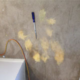  carpet spot dyeing